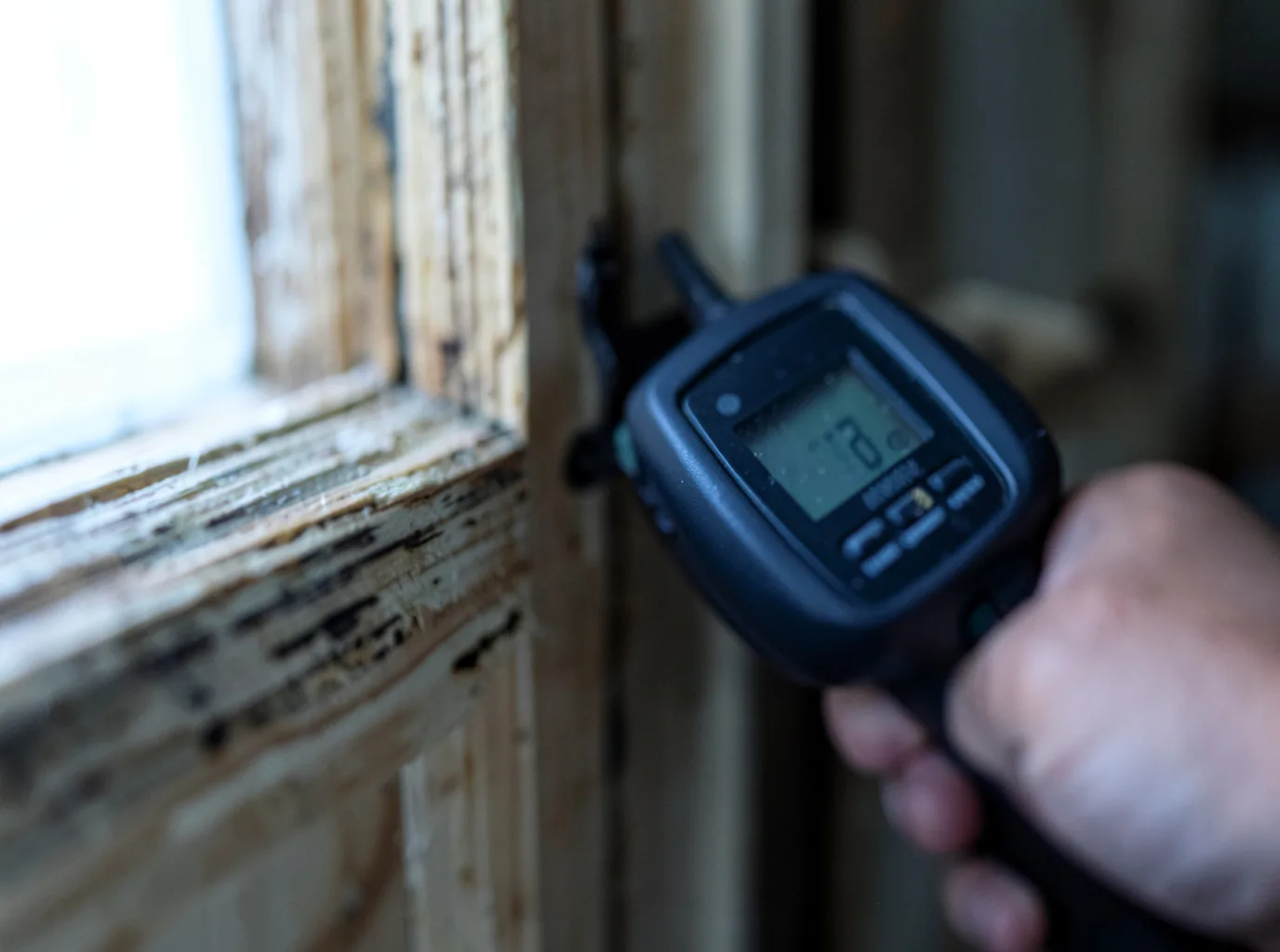 Moisture Inspection And Documentation in Stockton, IA